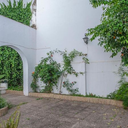 O&L Aire - Spacious And Bright Apartment In The Heart Of סביליה מראה חיצוני תמונה
