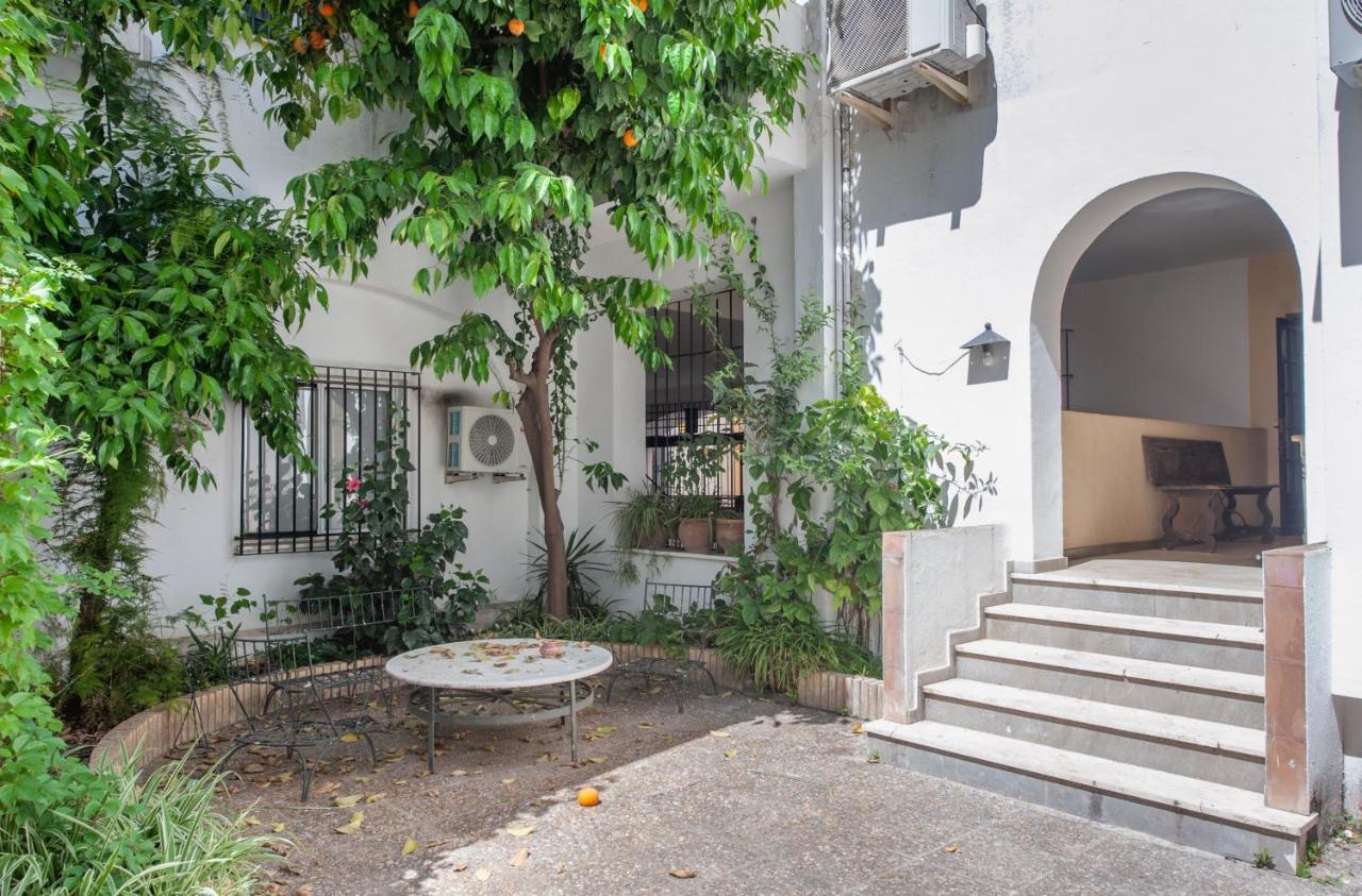 O&L Aire - Spacious And Bright Apartment In The Heart Of סביליה מראה חיצוני תמונה