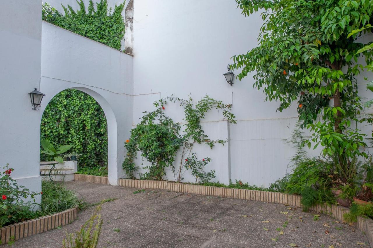 O&L Aire - Spacious And Bright Apartment In The Heart Of סביליה מראה חיצוני תמונה